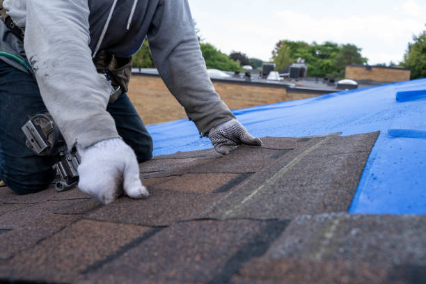 Best Roof Repair Services  in Grissom Af, IN